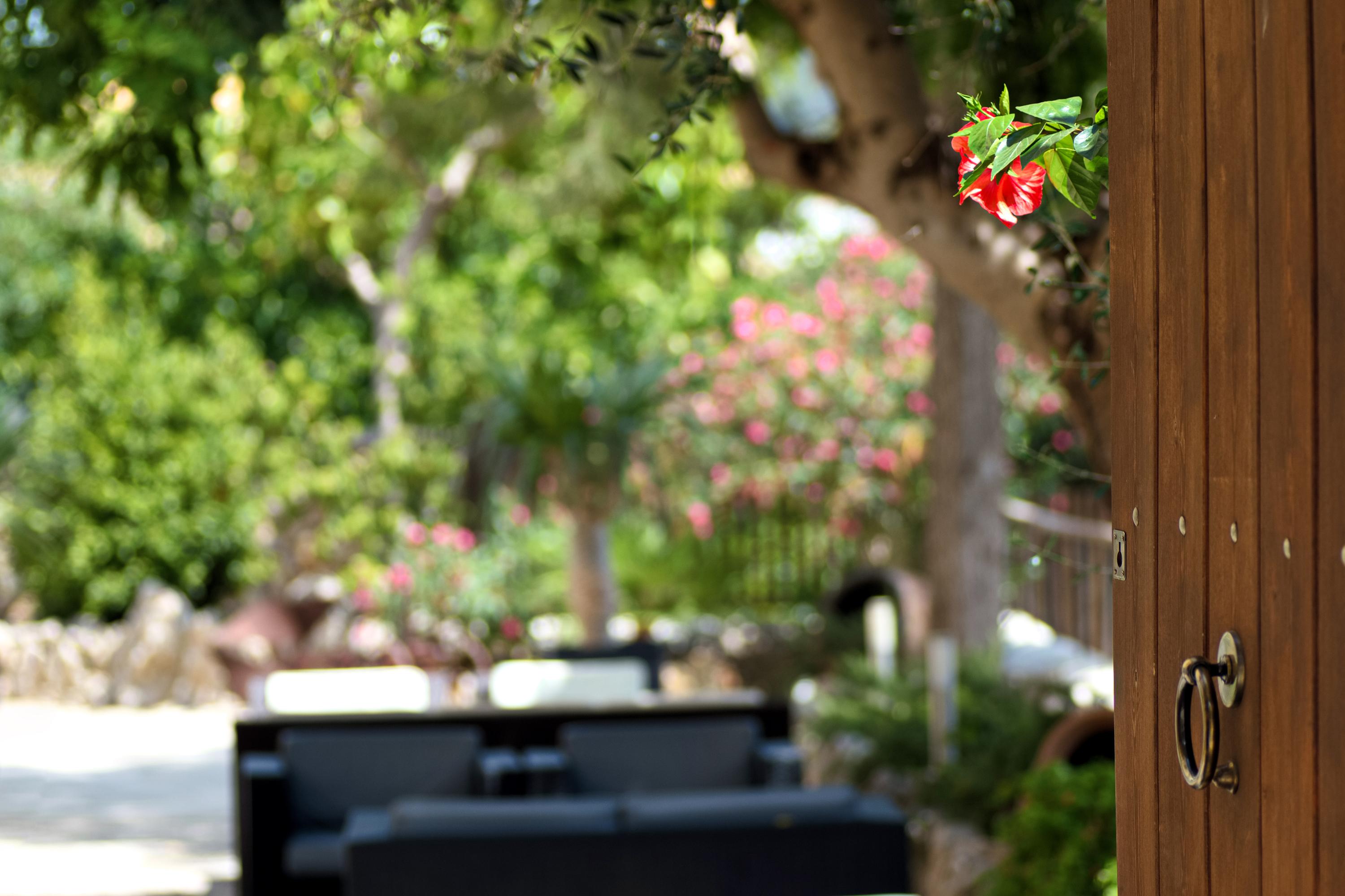Hotel Turixant Mancor del Valle Dış mekan fotoğraf
